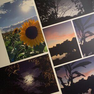 (Set of 7) Nature Postcard / Digital Photography Prints